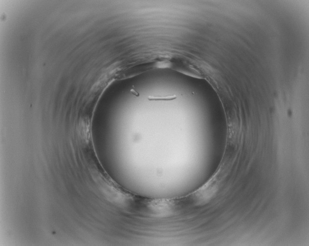 X0000070880142200606191324