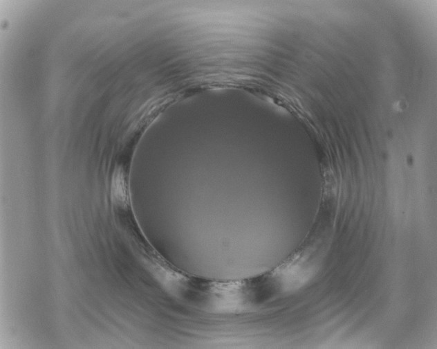 X0000070880143200606191324