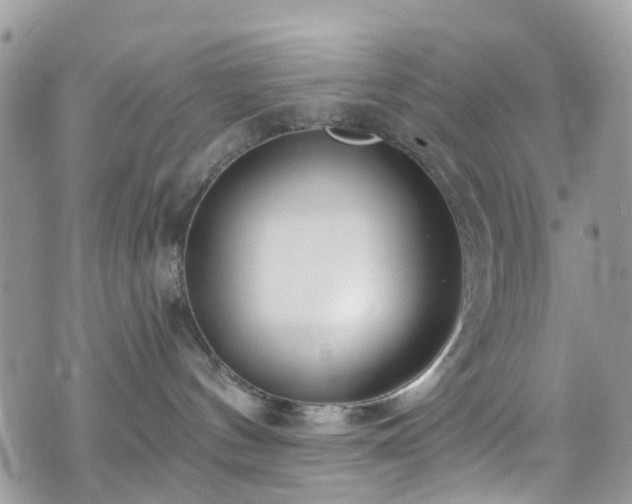 X0000070880144200606191324