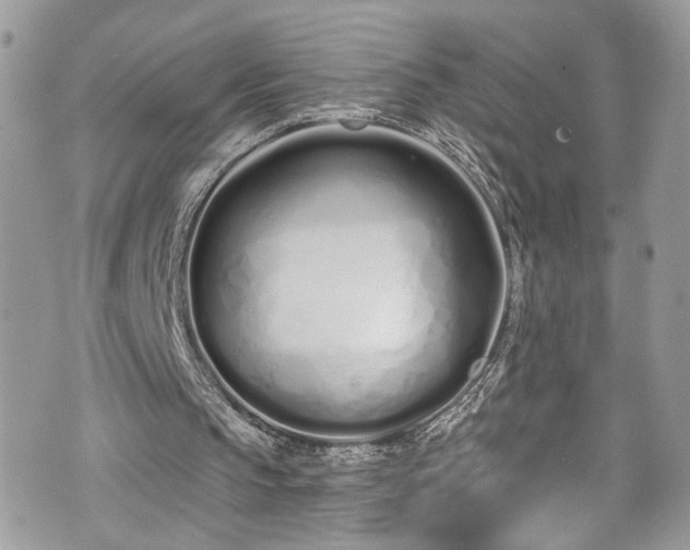 X0000070880145200606191324