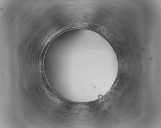 X0000070880146200606191324