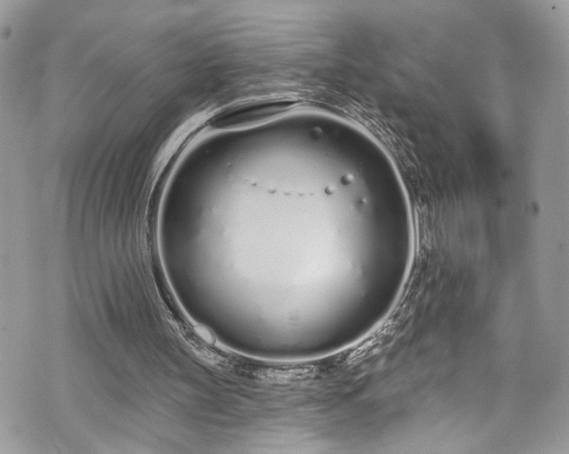 X0000070880147200606191324