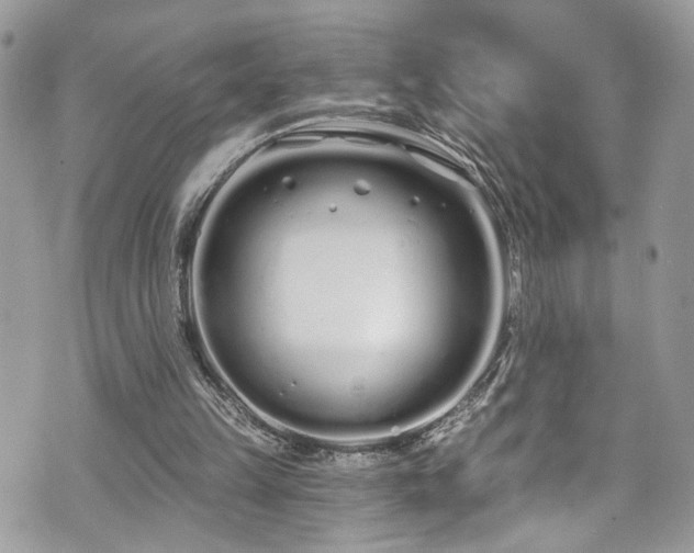 X0000070880149200606191324