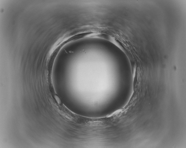 X0000070880150200606191324