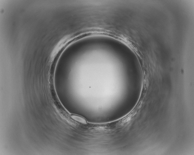 X0000070880151200606191324