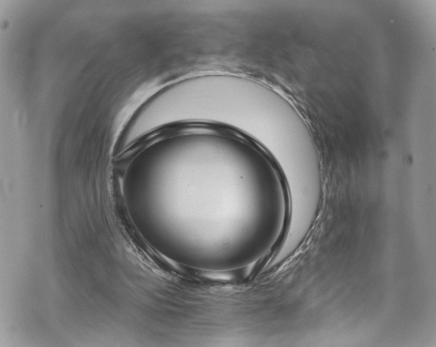 X0000070880152200606191324