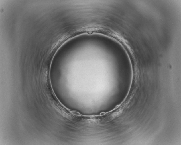 X0000070880153200606191324