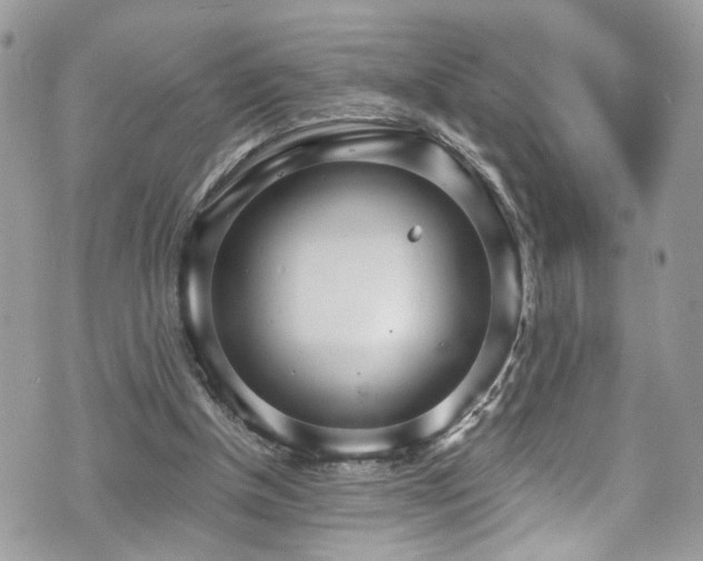 X0000070880154200606191324