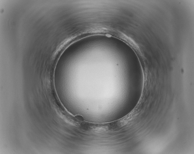 X0000070880155200606191324