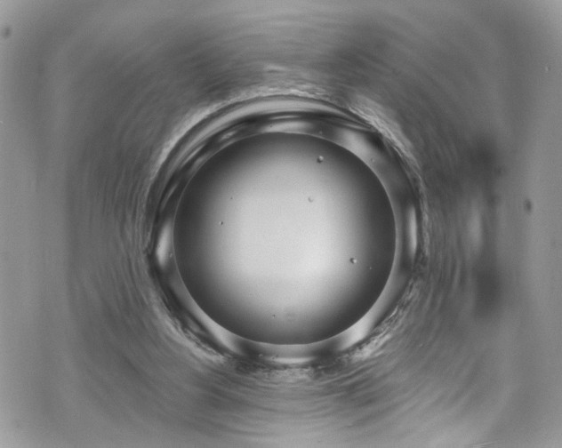 X0000070880156200606191324