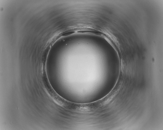 X0000070880157200606191324