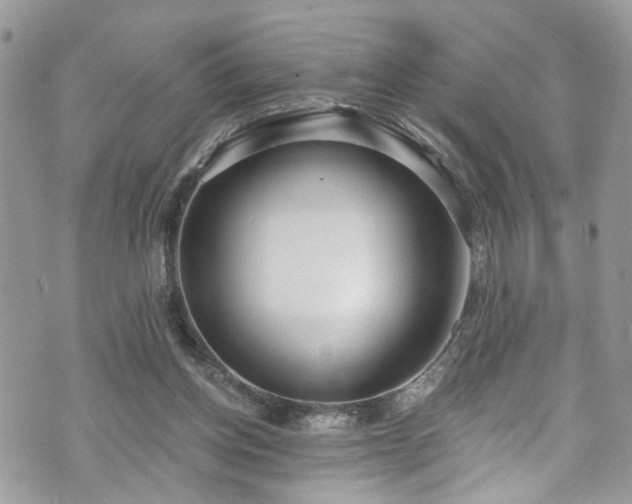 X0000070880158200606191324