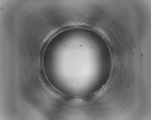 X0000070880159200606191324