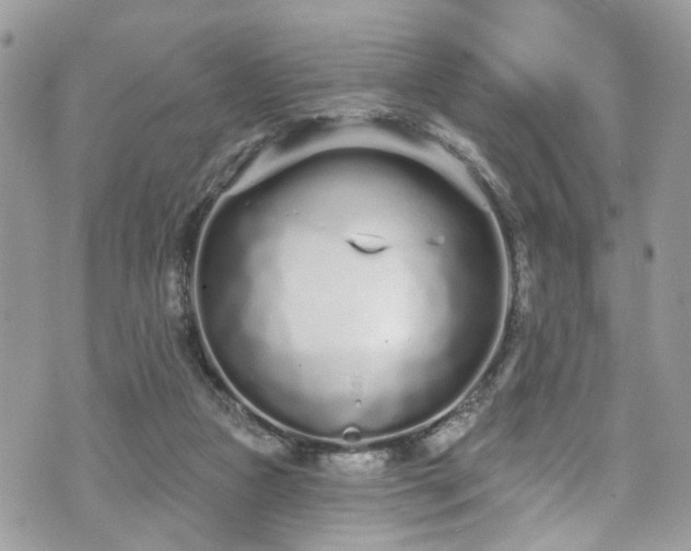 X0000070880161200606191324