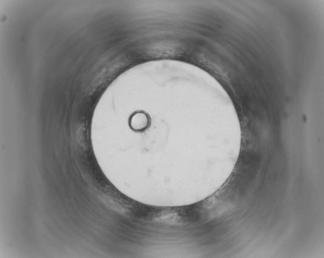 X0000070880162200606191324