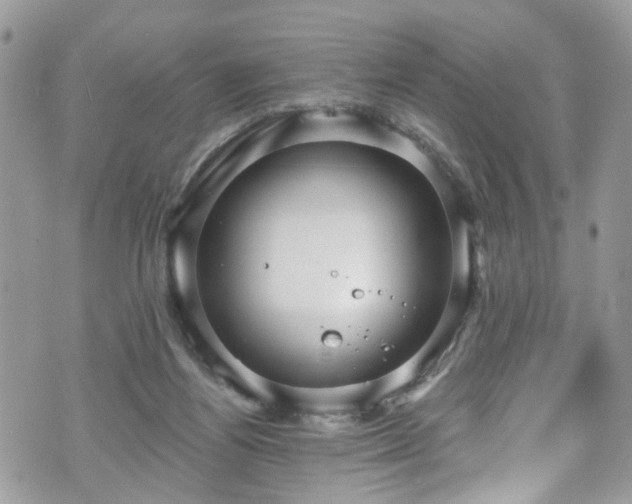 X0000070880164200606191324