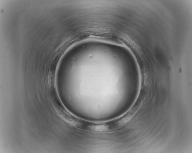 X0000070880165200606191324