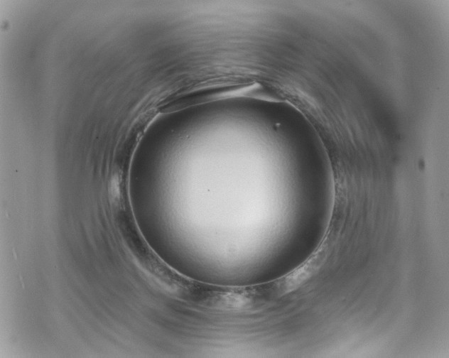 X0000070880166200606191324