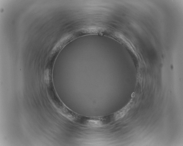 X0000070880167200606191324