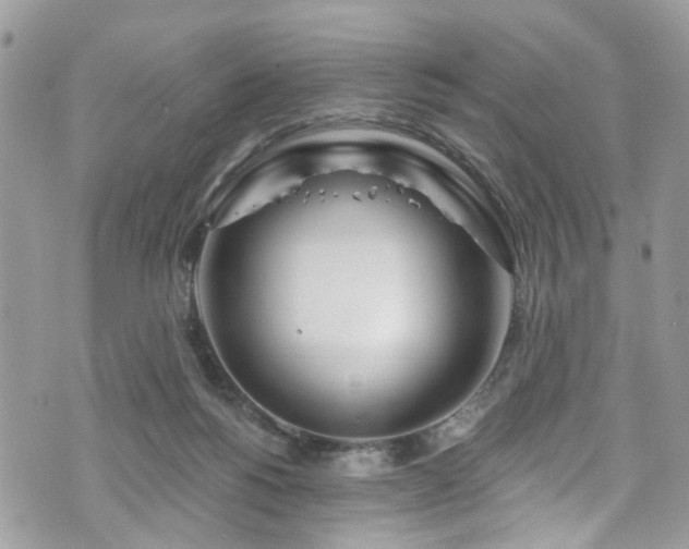 X0000070880168200606191324