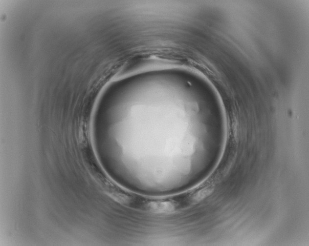 X0000070880169200606191324