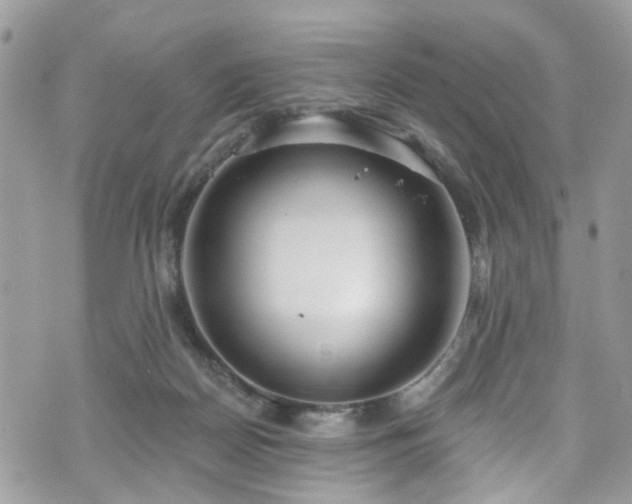 X0000070880170200606191324