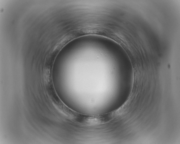 X0000070880171200606191324