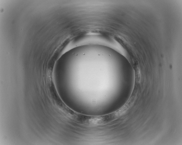 X0000070880172200606191324