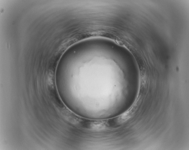 X0000070880175200606191324