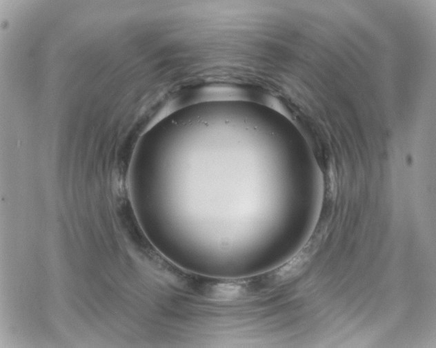 X0000070880176200606191324