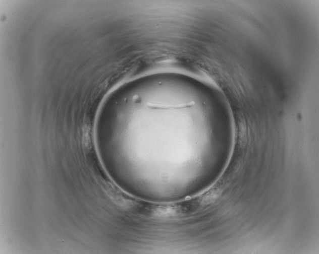 X0000070880177200606191324