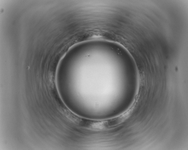 X0000070880178200606191324