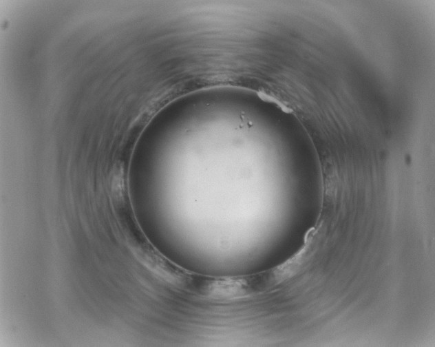 X0000070880179200606191324