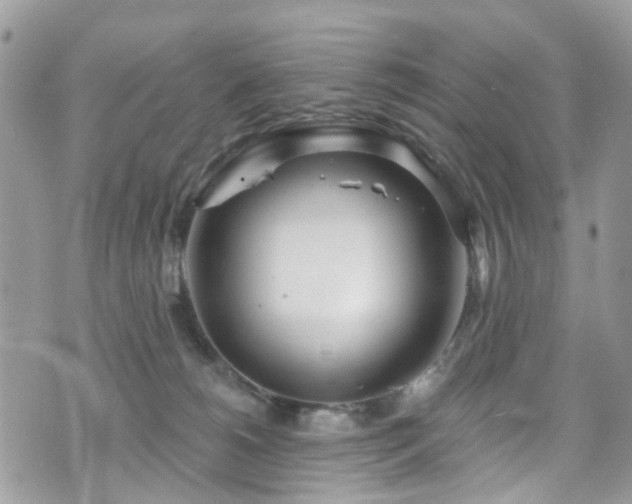 X0000070880180200606191324