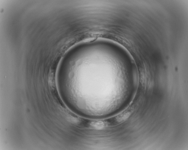 X0000070880181200606191324