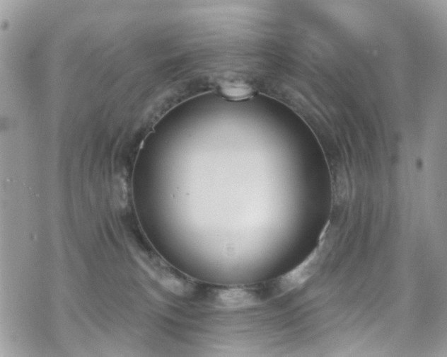 X0000070880183200606191324