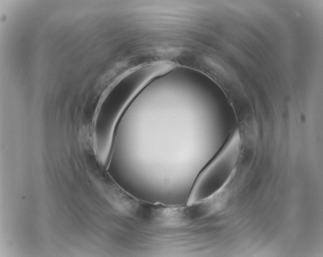 X0000070880184200606191324