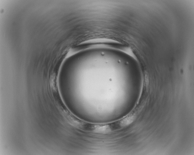 X0000070880185200606191324