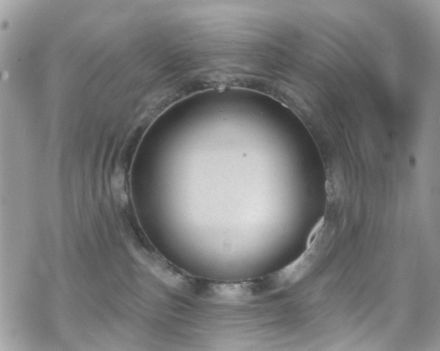 X0000070880187200606191324