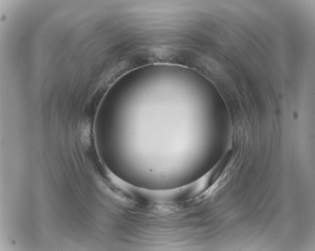 X0000070880188200606191324