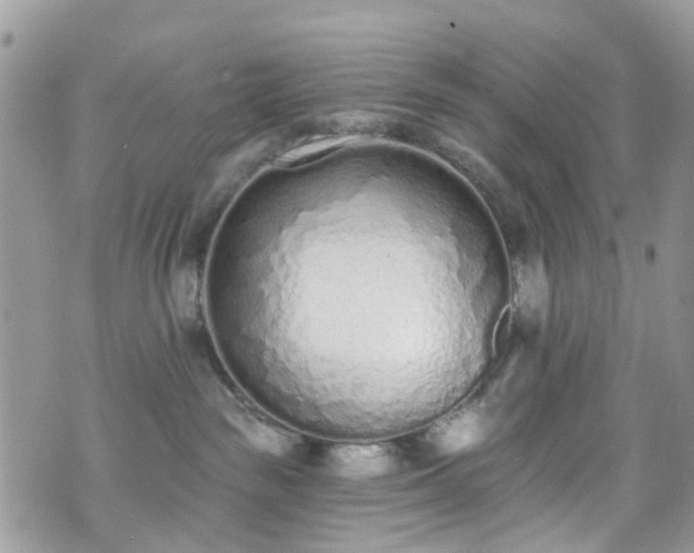 X0000070880189200606191324