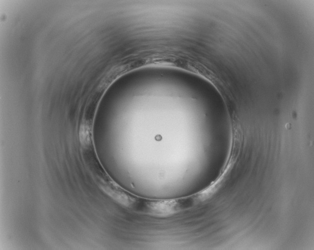 X0000070880191200606191324