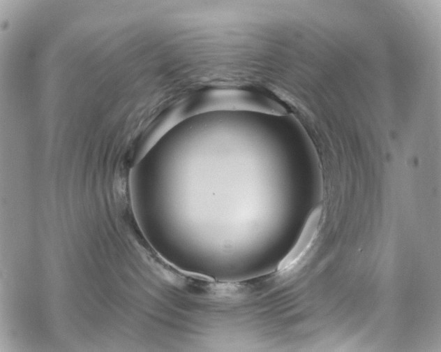 X0000070880192200606191324