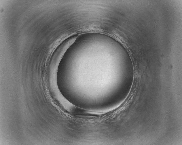 X0000070880193200606191324