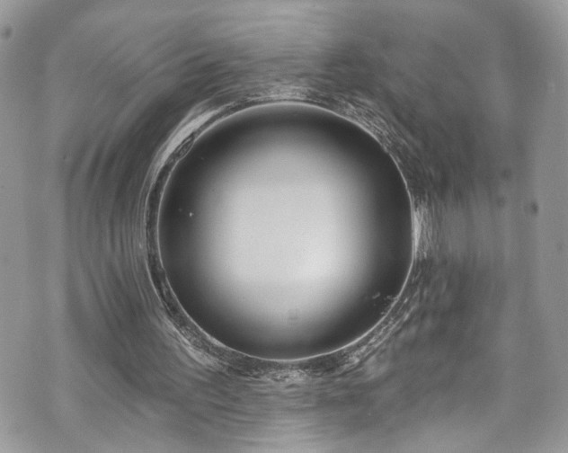 X0000070880195200606191324