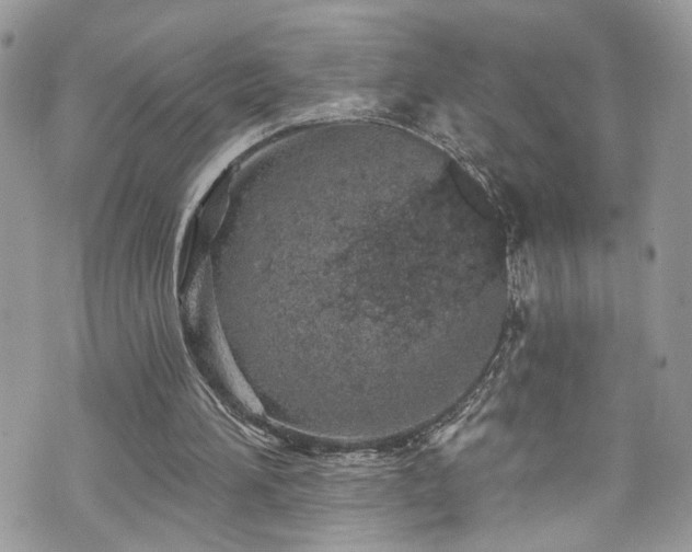 X0000070880196200606191324