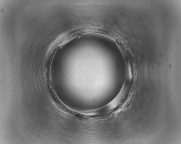 X0000070880197200606191324