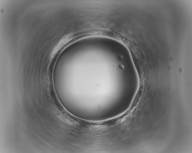 X0000070880198200606191324