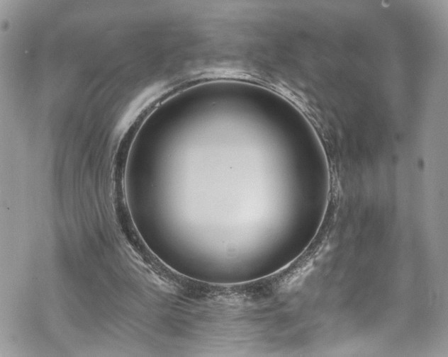 X0000070880199200606191324