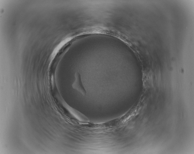 X0000070880200200606191324